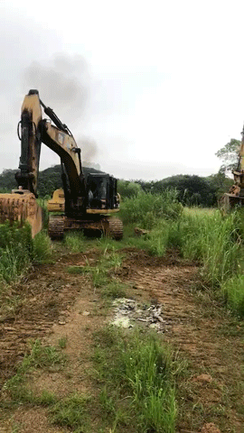 尹遙---造大美南湖，創(chuàng)“岳陽速度”